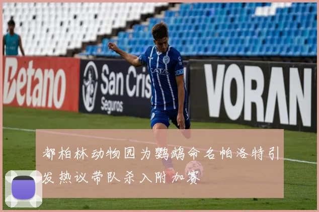 都柏林动物园为鹦鹉命名帕洛特引发热议带队杀入附加赛