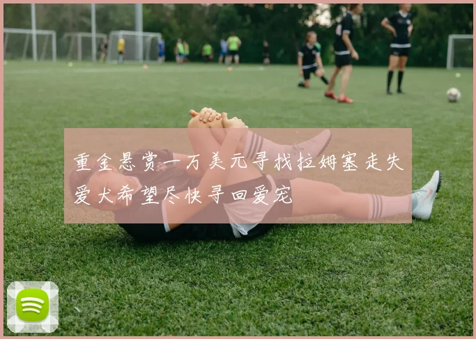 重金悬赏一万美元寻找拉姆塞走失爱犬希望尽快寻回爱宠